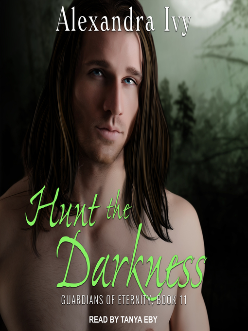 Cover image for Hunt the Darkness